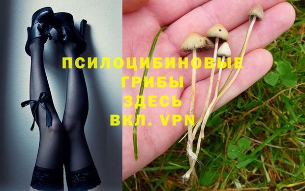 амф Магадан