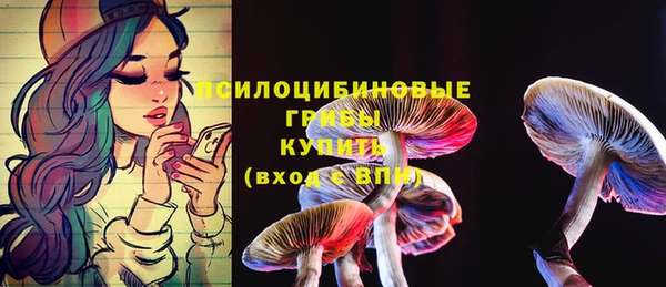 амф Магадан