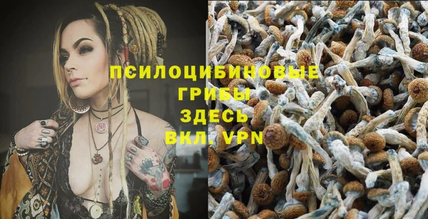 амф Магадан