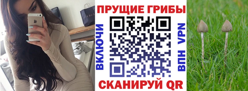 купить закладку  Торопец  Галлюциногенные грибы мухоморы 